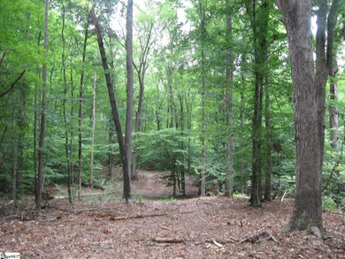 This property is a dream come true. Approx. a 2 1/2 to 3 acre - photo 13