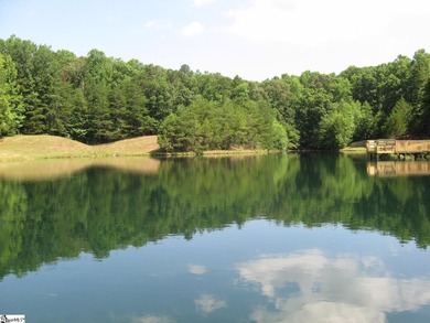This property is a dream come true. Approx. a 2 1/2 to 3 acre - photo 14