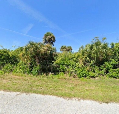 Enjoy the best of Florida living with this vacant lot - photo 1