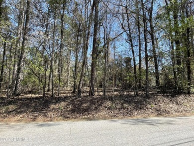 Lake Lot For Sale in Lauderdale, Mississippi