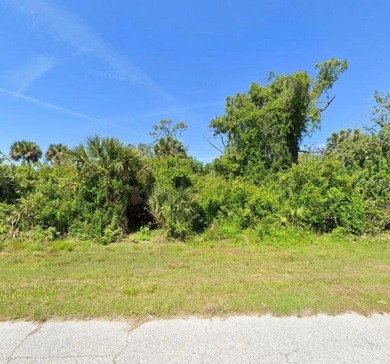 Enjoy the best of Florida living with this vacant lot - photo 1