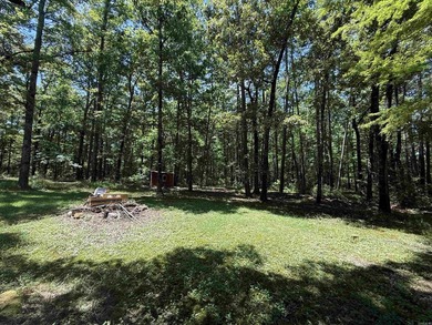 Secluded cozy home situated on 2 private acres, in the Robinson - photo 9
