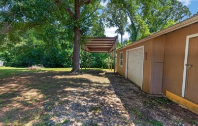 Home and Two Lots near Lake Palestine - photo 41
