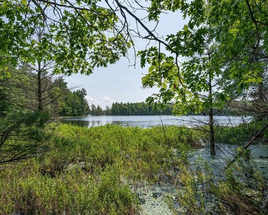 Candidly breathtaking lake front lot in Newbold awaits its new - photo 12