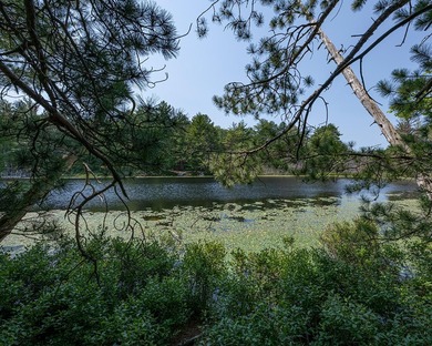 Candidly breathtaking lake front lot in Newbold awaits its new - photo 14