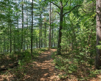 Candidly breathtaking lake front lot in Newbold awaits its new - photo 16