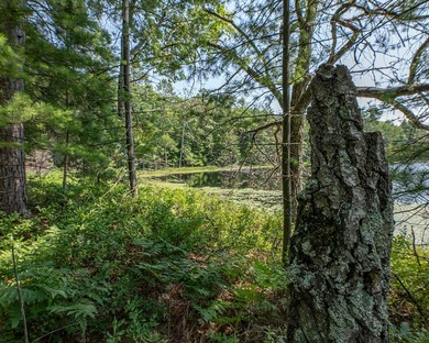 Candidly breathtaking lake front lot in Newbold awaits its new - photo 17