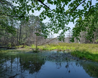 Candidly breathtaking lake front lot in Newbold awaits its new - photo 19