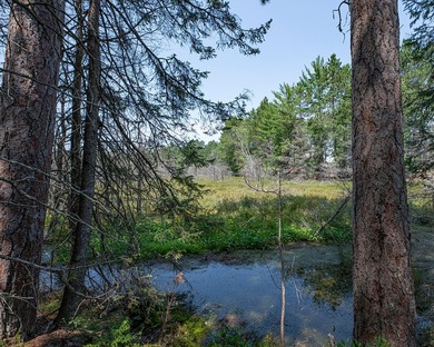 Candidly breathtaking lake front lot in Newbold awaits its new - photo 20