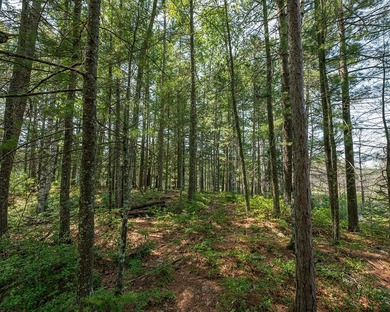 Candidly breathtaking lake front lot in Newbold awaits its new - photo 21