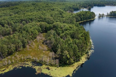 Candidly breathtaking lake front lot in Newbold awaits its new - photo 22