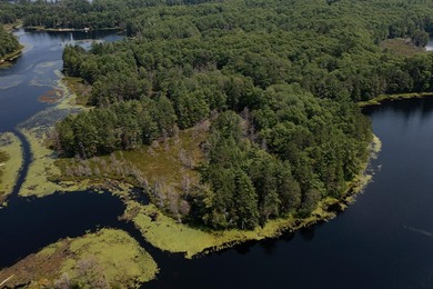 Candidly breathtaking lake front lot in Newbold awaits its new - photo 23
