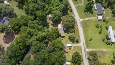 Home and Two Lots near Lake Palestine - photo 4