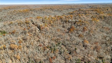 WOW! New Price! Rare opportunity to own 23+ wooded acres with a - photo 39