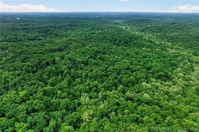 WOW! New Price! Rare opportunity to own 23+ wooded acres with a - photo 40