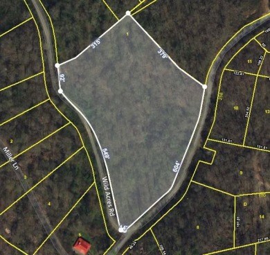 Lake Lot For Sale in Gainesboro, Tennessee