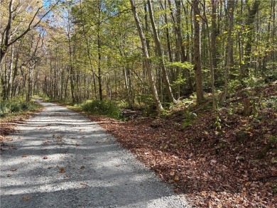 Lake Acreage For Sale in Saltlick Twp, Pennsylvania