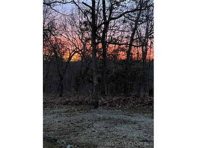 WOW! New Price! Rare opportunity to own 23+ wooded acres with a - photo 51