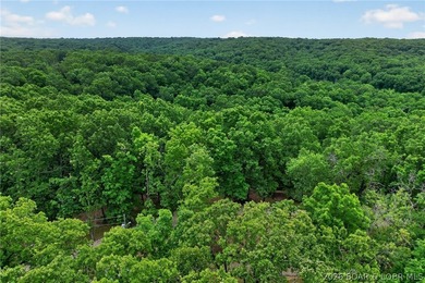 WOW! New Price! Rare opportunity to own 23+ wooded acres with a - photo 59