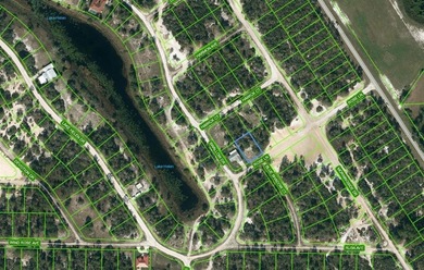 Lake Grassy Lot For Sale in Lake Placid Florida
