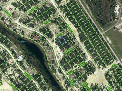 Lake Grassy Lot For Sale in Lake Placid Florida