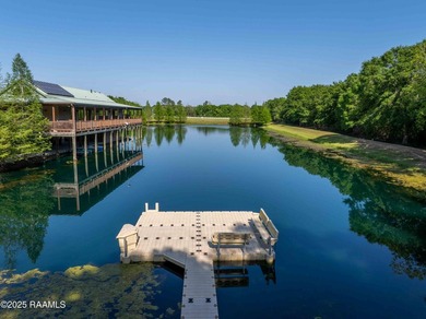 Experience an elevated lifestyle in this expansive, single-level - photo 5