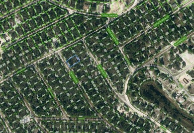 Lake Grassy Lot For Sale in Lake Placid Florida