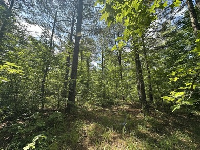 LAKEFRONT in Pointe Shores!! 1.51 Acre LAKEFRONT lot in Pointe - photo 4