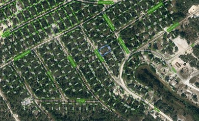 Lake Grassy Lot For Sale in Lake Placid Florida