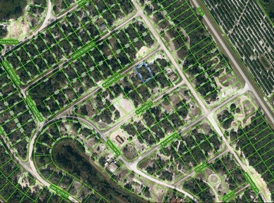 Lake Grassy Lot For Sale in Lake Placid Florida