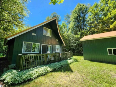 Lake Home For Sale in Elmira, Michigan