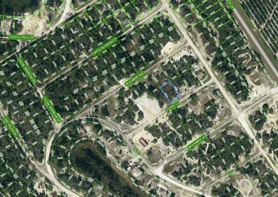 Lake Grassy Lot For Sale in Lake Placid Florida