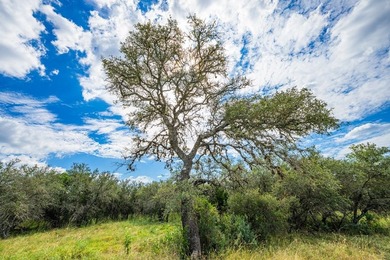1.56 acre corner lot in the Estates at Stone Creek in the - photo 8