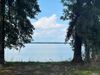 Lake Home For Sale in Abbeville, Alabama