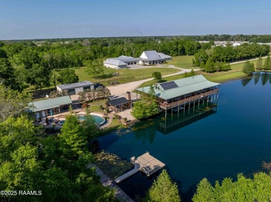 Experience an elevated lifestyle in this expansive, single-level - photo 3