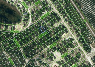 Lake Grassy Lot For Sale in Lake Placid Florida