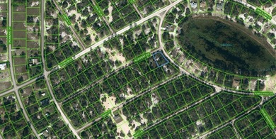 Lake Grassy Lot For Sale in Lake Placid Florida
