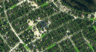 Lake Grassy Lot For Sale in Lake Placid Florida
