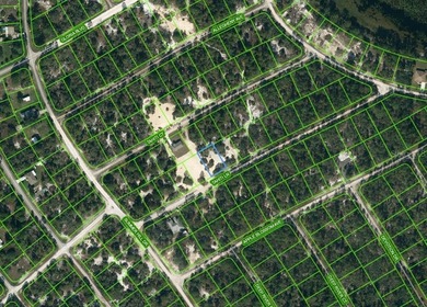 Lake Grassy Lot For Sale in Lake Placid Florida