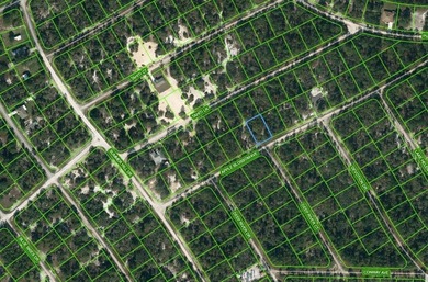 Lake Grassy Lot For Sale in Lake Placid Florida