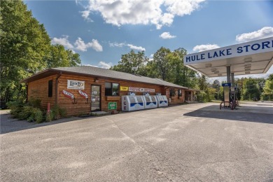 Mule Lake Commercial For Sale in Longville Minnesota