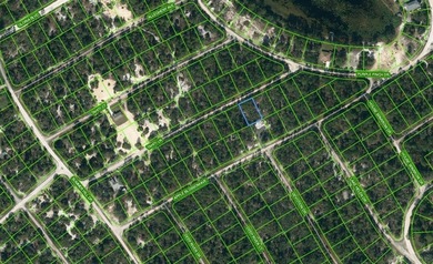 Lake Grassy Lot For Sale in Lake Placid Florida