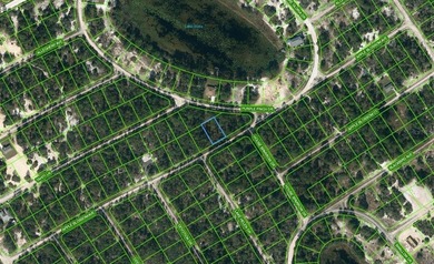 Lake Grassy Lot For Sale in Lake Placid Florida