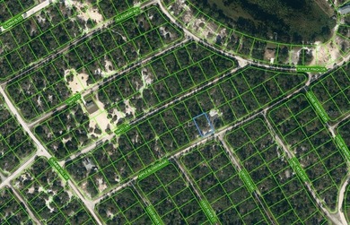 Lake Grassy Lot For Sale in Lake Placid Florida