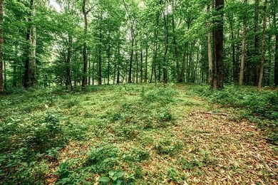 This hidden gem is waiting for you! Here is a unique opportunity - photo 11