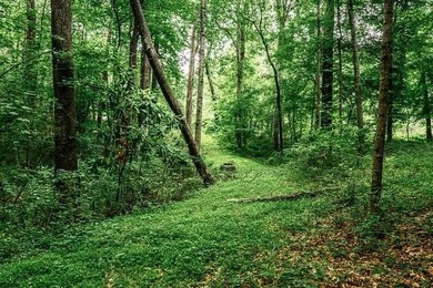 This hidden gem is waiting for you! Here is a unique opportunity - photo 12