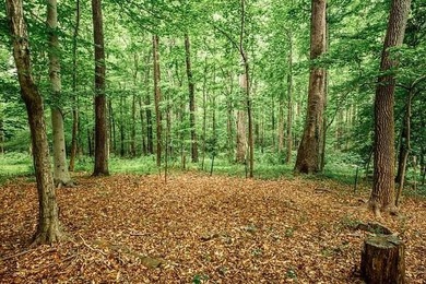 This hidden gem is waiting for you! Here is a unique opportunity - photo 13