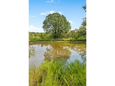 Beautiful Wooded 70 acres M/L Property on the Corner of NEW PRUE - photo 6
