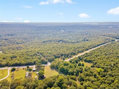 Beautiful Wooded 70 acres M/L Property on the Corner of NEW PRUE - photo 9