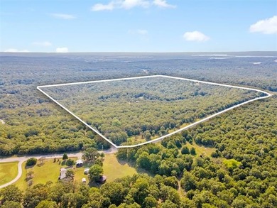 Beautiful Wooded 70 acres M/L Property on the Corner of NEW PRUE - photo 10